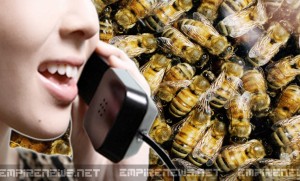 New Bee Tax on Cell Phones May Drive Landline Comeback