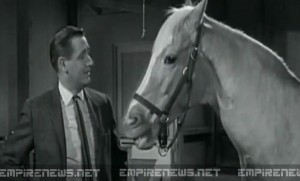 Classic Sitcom Talking Horse ‘Mr. Ed’ Disappears From Taxidermy Museum2